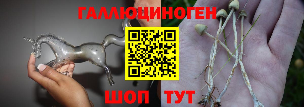 Алексин  как найти   Вход с VPN  Псилоцибиновые грибы мухоморы 